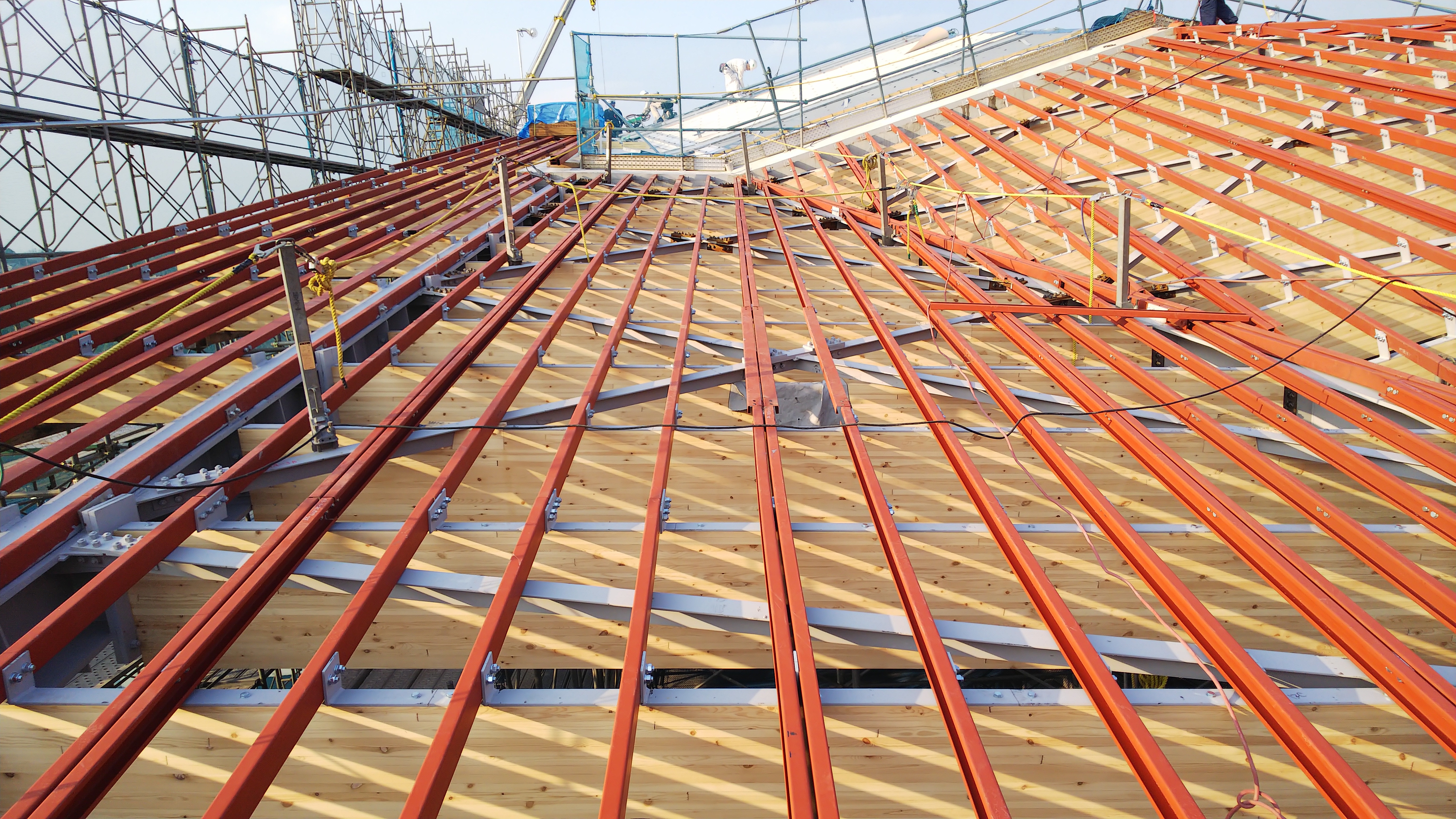 フェリシアこども短期大学